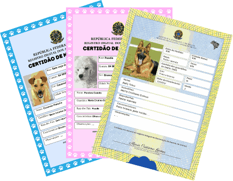 CERTIDÃO-DE-NASCIMENTO-_4_-_1_ CERTIDÃO-DE-NASCIMENTO-_4_-_1_